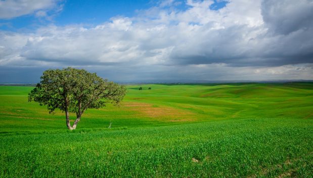 Top Tips For Selling Land: Expert Guide
