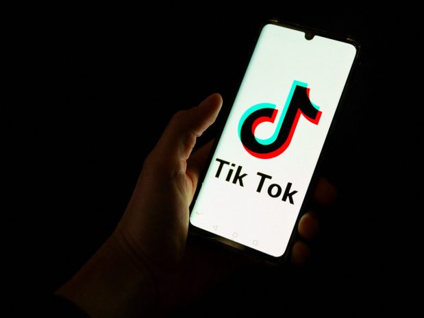 Ultimate Snaptik Tiktok Video Downloader Guide